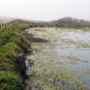 Pièce d'eau dns une prarie limitée par une clôture par temps brumeux - France  - collection de photos clin d'oeil, catégorie paysages